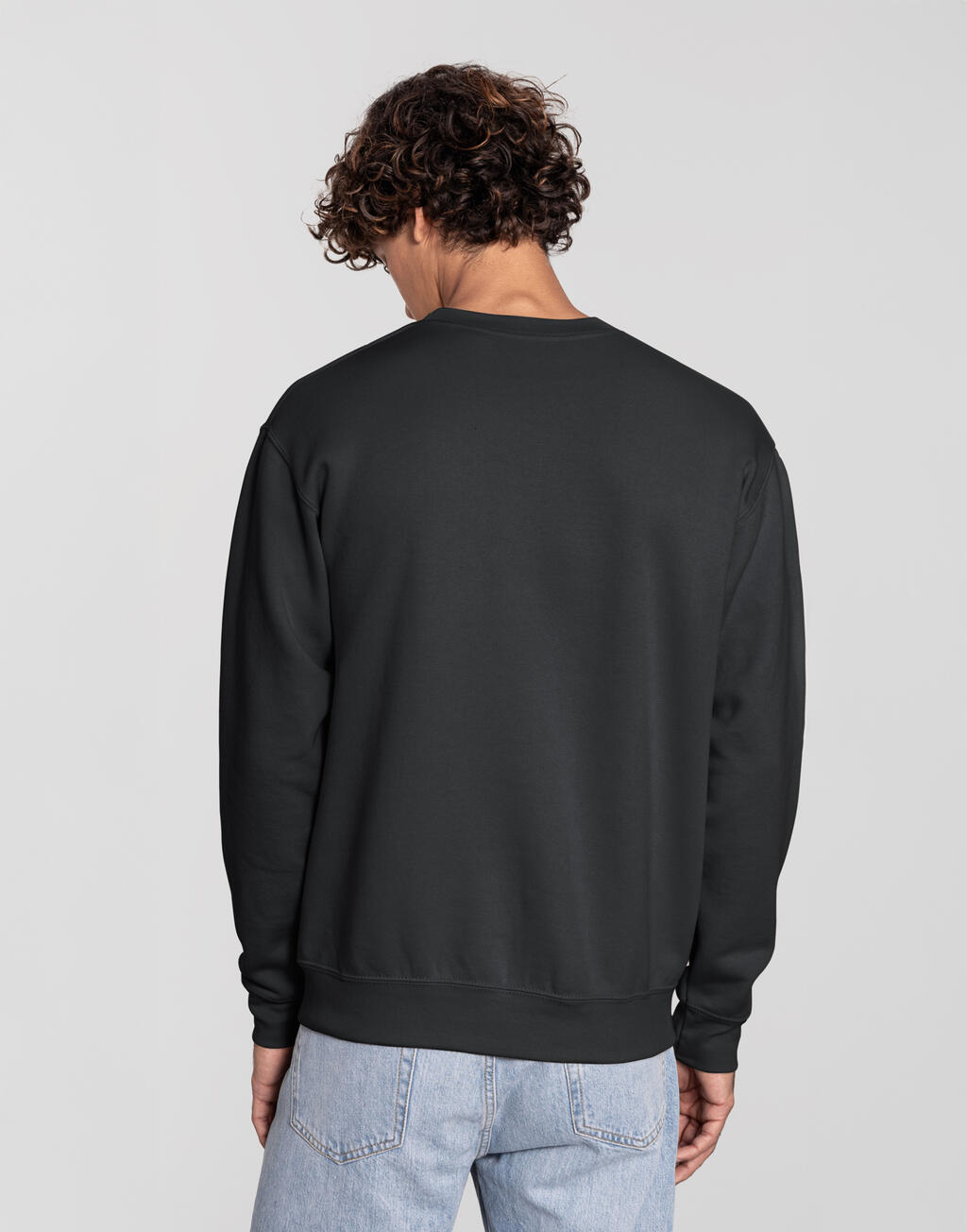 Fruit of the Loom Iconic Premium Set-In Sweat (dos)