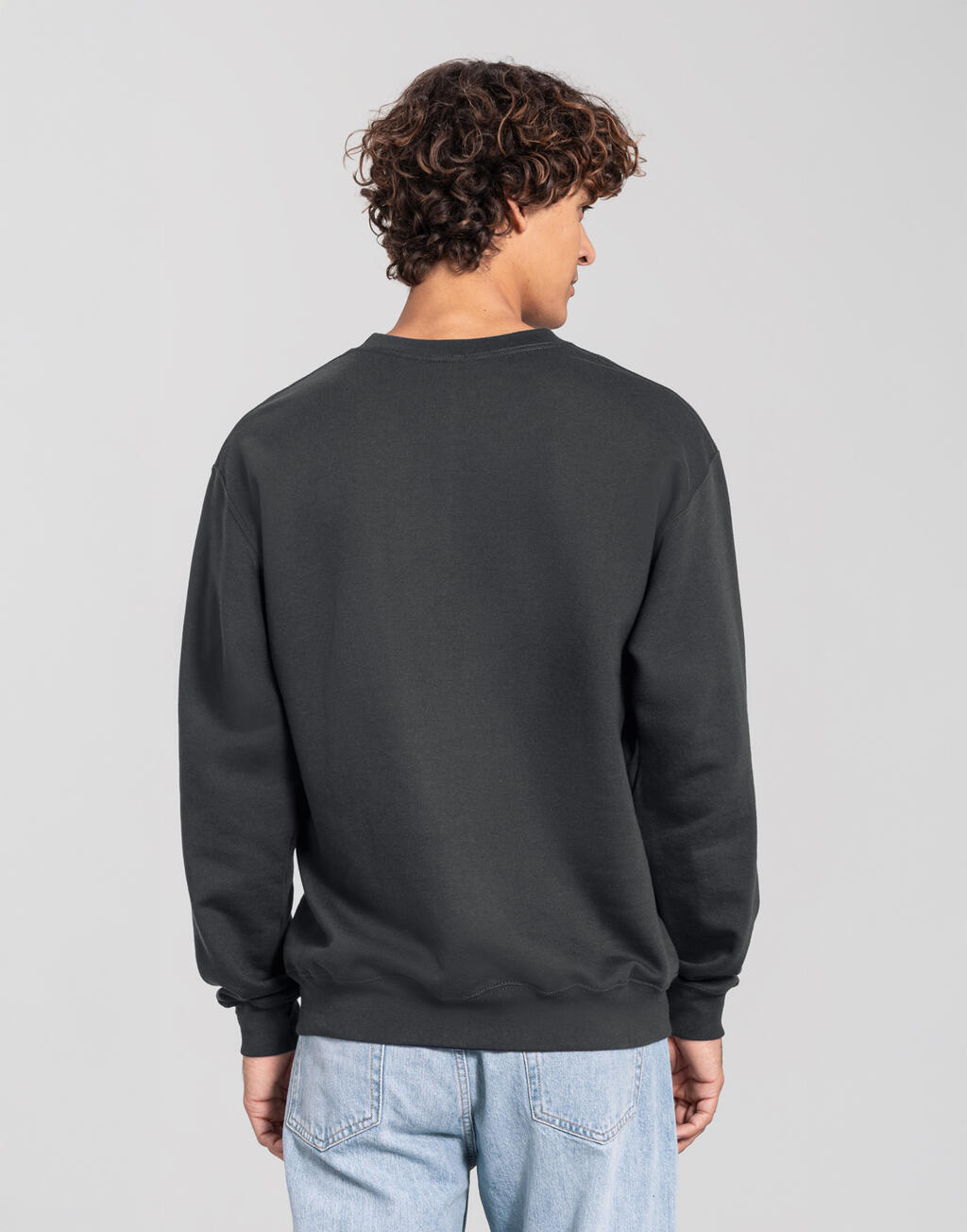 Fruit of the Loom Iconic 250 Set-In Sweat (dos)
