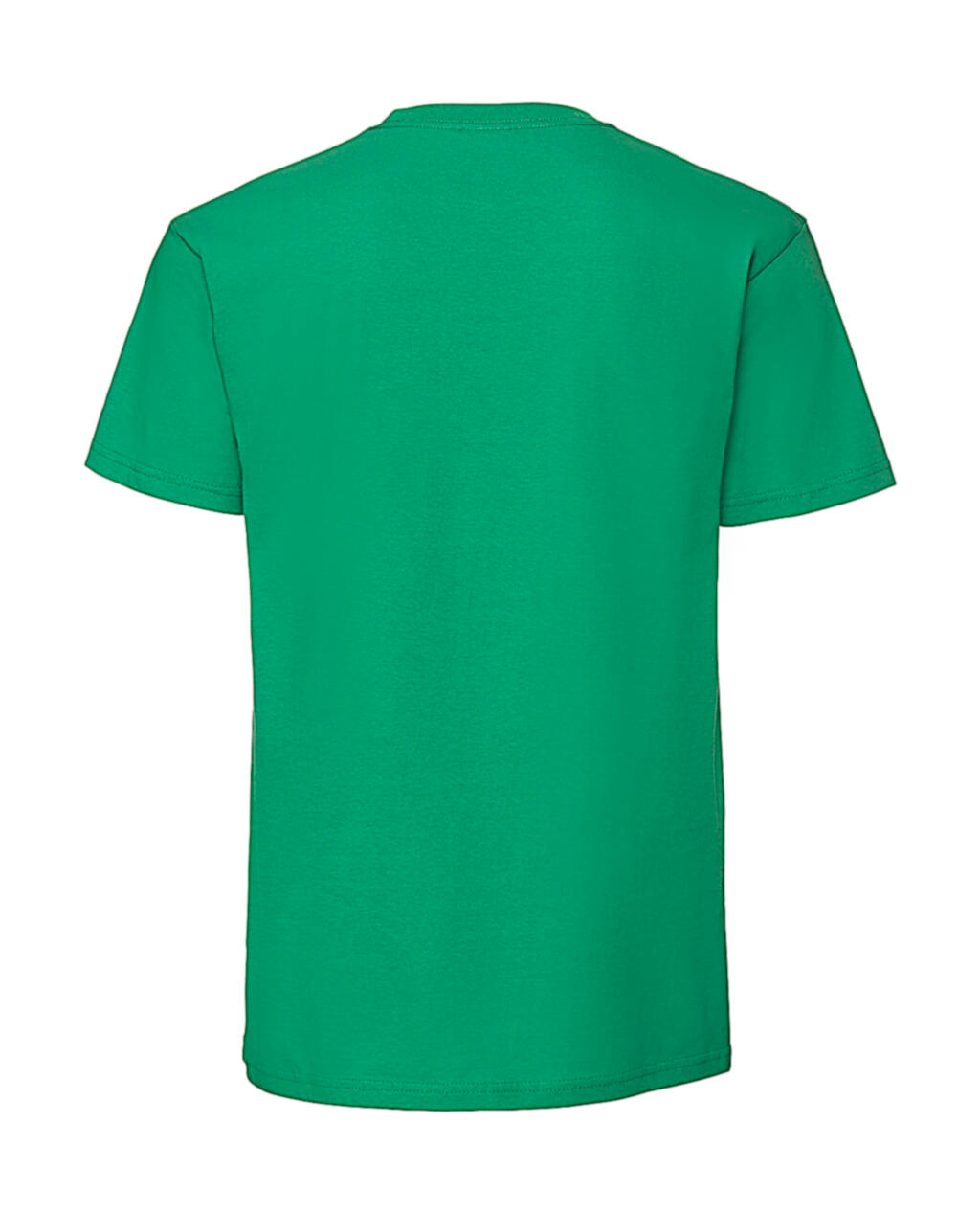 Fruit of the Loom Ladies' Iconic 195 Ringspun Premium T (dos)