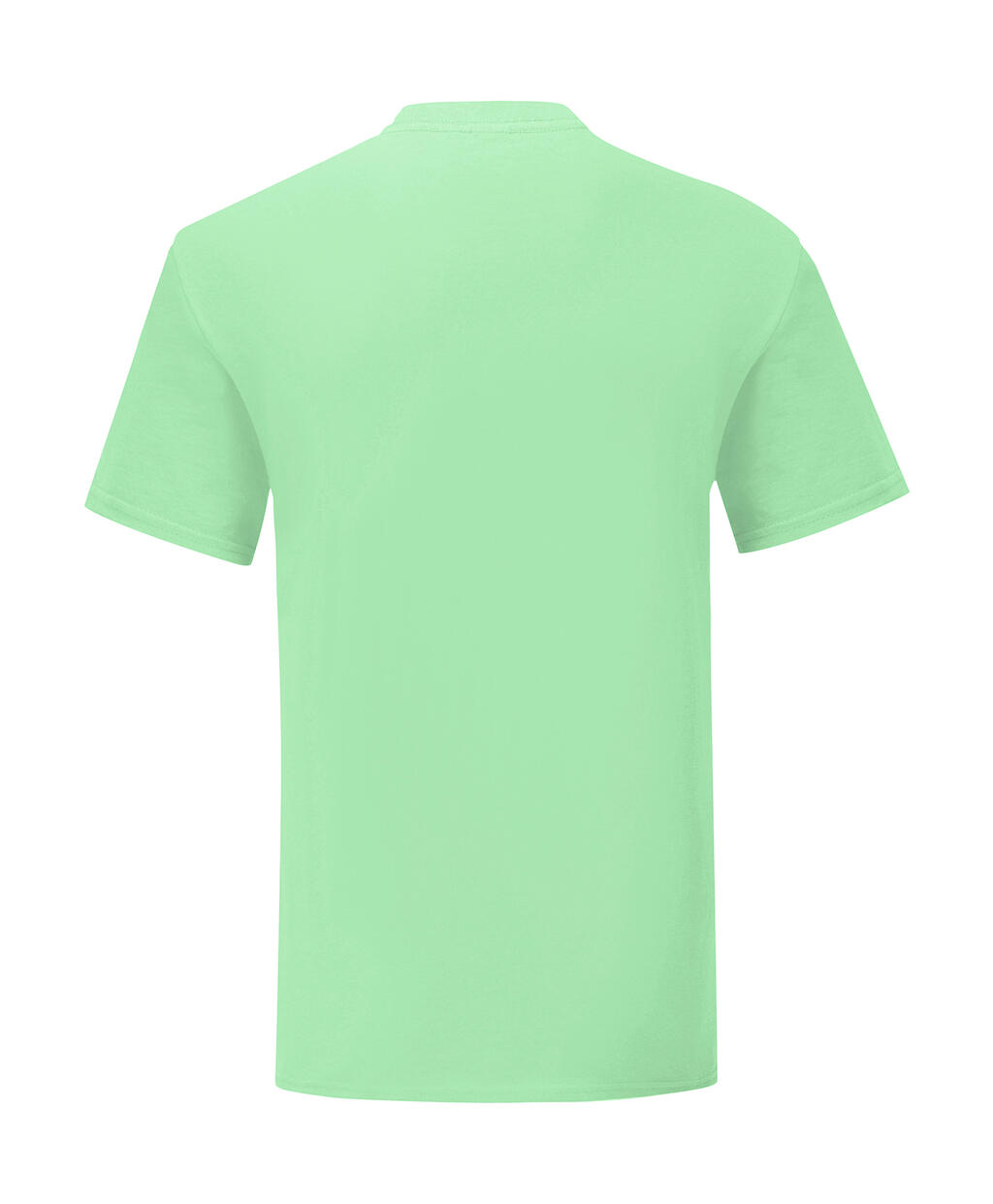 Fruit of the Loom Iconic 150 T (dos)
